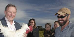Opposition Leader Anthony Albanese holds up a chicken during his May visit with Labor candidate for Eden-Monaro Kristy McBain to meet bushfire-affected poultry farmers Lyndal and Dan Tarasenk.