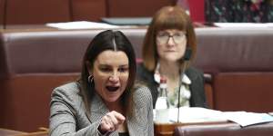 Senator Jacqui Lambie has delivered the Morrison government a major blow in declaring she will not support its higher education funding reforms.
