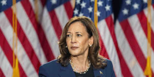 So Kamala is the ‘childless cat lady’? White male power plays its hateful gender card