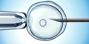One in 18 babies born in Australia are conceived via IVF.