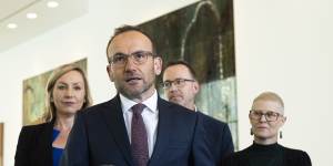 Adam Bandt’s public statements since Lidia Thorpe split from the party have mostly been limited to saying he was “sad” about her leaving.