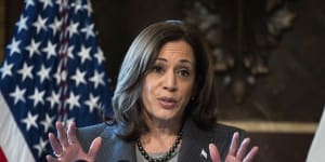 US Vice President Kamala Harris speaks during a roundtable with government leaders and private sector representatives about migration on Monday.