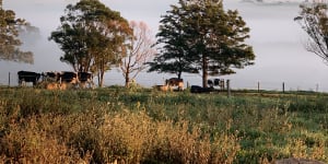 NSW farmer Rob Miller has been working to protect the unique environment on his land for 20 years,and has seen huge benefits. 
