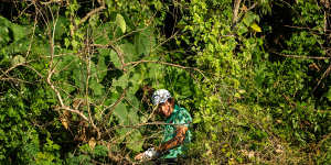 Phachara Khongwatmai deep in the undergrowth with at the Hong Kong Open.