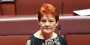 One Nation leader Senator Pauline Hanson