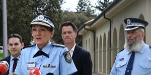 NSW Police Commissioner Karen Webb says she is worried about the safety of revellers.