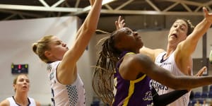 Basketball Australia apologises as WNBL player cites ‘racial discrimination’ over braid rule