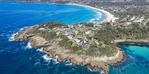 I swam Australia’s humpback highway. But should I have?