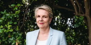 Along with Norway,Canada and France,Australia will push for “high ambition” in the pact,says Tanya Plibersek.