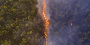 A drone photo of a bushfire front in Cape York taken by Robert Irwin.
