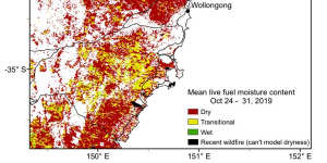 Satellite maps show most the live plant moisture levels around Sydney are the driest in almost two decades.