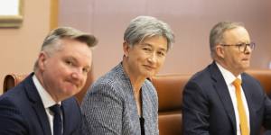 Penny Wong said the 2018 decision was a cynical attempt by Scott Morrison to win votes in the Wentworth byelection.