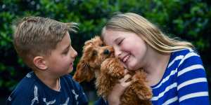 Alice Warry 10,and her brother,Tommy,8,with their new toy cavoodle,Ralphy. 