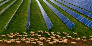 A'wave'of new solar farms across the world has meant renewables accounted for more than two-thirds of extra electricity generation installed in 2019,Bloomberg New Energy Finance says.