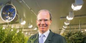 Peter Crock,in 2017 when he headed the Cann Group.
