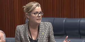Liberal leader Libby Mettam in Parliament today. 