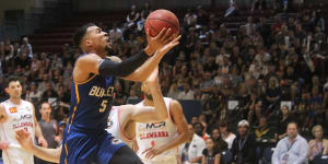 Brisbane Bullets go down to Illawarra Hawks in preseason clash