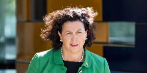 Independent MP Dr Monique Ryan outside court on Friday. 