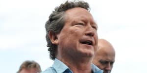 Twiggy Forrest joins fight to save our oceans with $100 million pledge