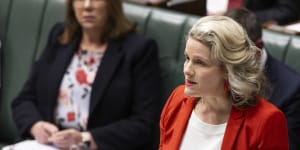 Home Affairs Minister Clare O’Neil has released part of the government’s formal response to a report by former Victorian police commissioner Christine Nixon into the exploitation of the visa system.