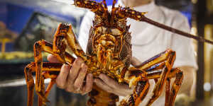 The sanction on rock lobsters will be lifted in time for Chinese New Year. 