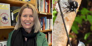 Three Things I Love:Gillian O’Shaughnessy on Perth’s best book-shopping and bird-spotting