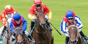Warwick Farm is the place to be for racing on Wednesday.