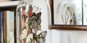 “My butterfly cloche in the sitting room was created by Melbourne based artist and entomologist Jason Penfold. Each month I turn it around to see it from different angles.”