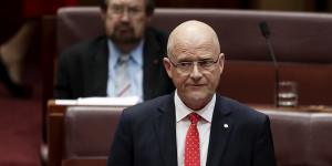 Former senator David Leyonhjelm says there were"legitimate"questions about Port Arthur.