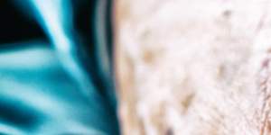 A dozen NSW MPs are pushing to change the state’s voluntary assisted dying laws. 