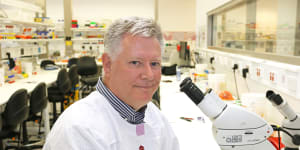 Professor Mark Smyth,the former head of immunology in cancer at the QIMR Berghofer Medical Research Institute.