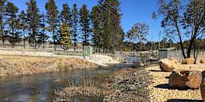 ‘Colossal’ pollution spikes in Sydney’s drinking water catchment