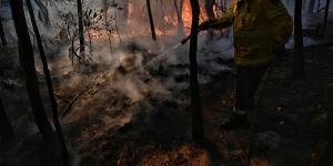 A hazard-reduction conducted in northern Sydney on Monday:more such burns are likely,particularly close to property and assets.