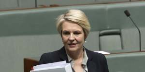 Environment Minister Tanya Plibersek has veto powers over major developments that come with serious environmental harms. 