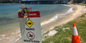 Swan River bull sharks to be tagged after DNA confirms fatal attack