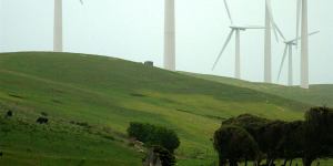 Mr Hockey has described wind turbines as a''blight on the landscape''.