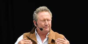 Fortescue Metals Group chairman Andrew Forrest. 