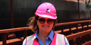 Gina Rinehart miner nets massive $7.3b profit off bumper year for iron