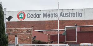 First COVID-19 case at Cedar Meats found more than a month ago,but site remained open