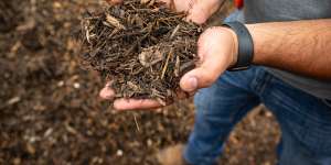 Greenlife has launched a legal action against the EPA for prohibiting it from processing or selling its mulch.