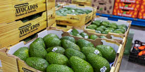Aussie avocado grower Costa back in US private equity firm’s sights