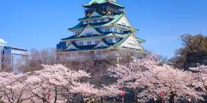 Osaka Castle comes alive in blossom season.