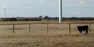 AGL's Macarthur Wind Farm in western Victoria.