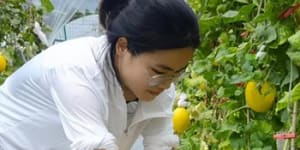 A university graduate volunteer works at a farm in Guangdong. The province wants to lure 300,000 young Chinese students to the country.