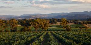 Australia’s 52 top wineries of 2024