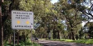 Appin Road cuts through the home of Sydney’s last chlamydia-free koala population.