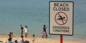 Beachgoers undeterred by Botany Bay's first shark attack in 25 years