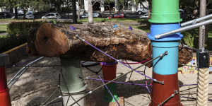 The upgraded playground at Pioneer Memorial Park,Leichhardt,includes logs for nature play.