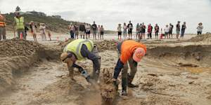 The excavation last week took several hours,drawing a crowd of captivated onlookers.