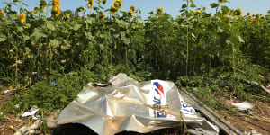 MH17 verdicts further proof of Putin’s contempt for life and law